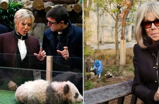 First Lady Macron, eski dostu panda ile Çin’de buluştu