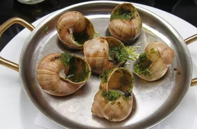 Fransa’da bir çiftlikten 4 milyon TL değerinde salyangoz çalındı