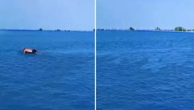 Görenler ilk başta havuz sanıyor! Gerçek bambaşka çıktı