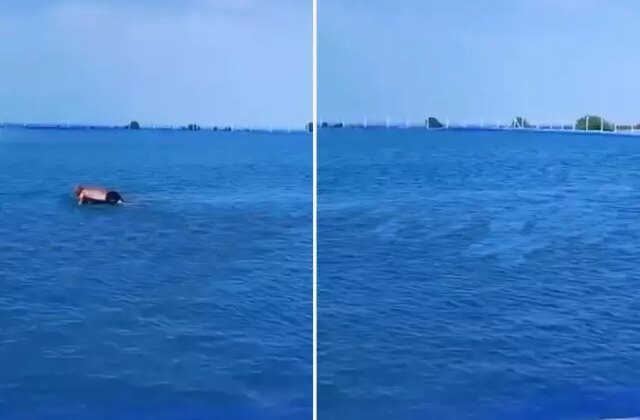 Görenler ilk başta havuz sanıyor! Gerçek bambaşka çıktı