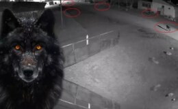 Görüntü Alaska’dan değil Türkiye’den! Bölge sakinleri endişeli