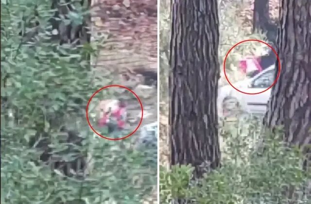 Görüntü İzmir’den! Sesleri duyup önce kayda aldı, sonra polisi aradı