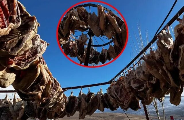 Talep patladı, köylü yetişemiyor! Ay sonunda yollara düşecek