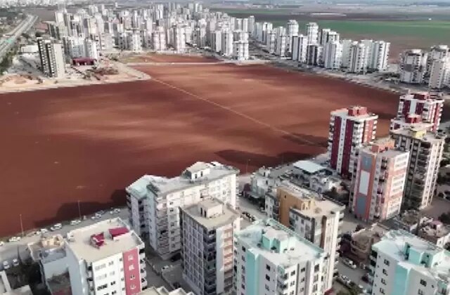 Herkes sattı, o direndi! Betonun ortasında bakın ne yapıyor