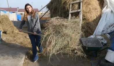 İstanbul’dan kaçıp köyüne döndü, modelistliği bırakıp çoban oldu