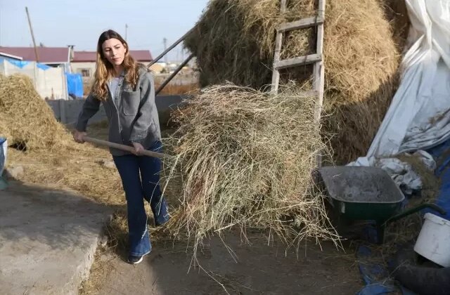 İstanbul’dan kaçıp köyüne döndü, modelistliği bırakıp çoban oldu