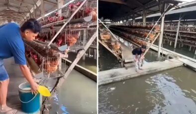 Kazancını ikiye katlamak isteyen girişimcinin taktiği tartışma yarattı