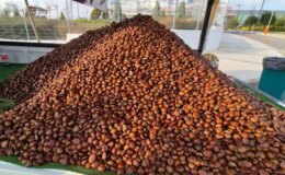 Kilosu 175 liradan, günde 600 kilo satıyor! Havaların soğumasıyla yıldızı parladı