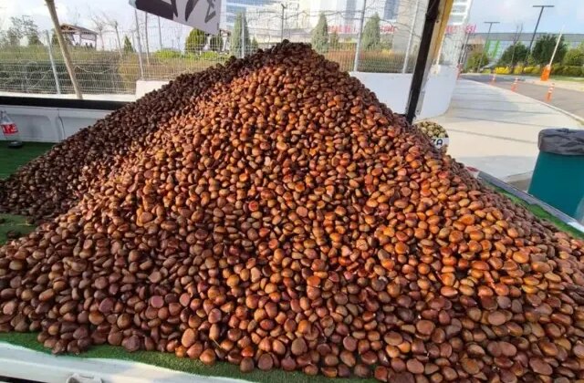 Kilosu 175 liradan, günde 600 kilo satıyor! Havaların soğumasıyla yıldızı parladı