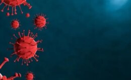 Kırgızistan’da alarm, hızla yayılan virüs eğitimi felç etti