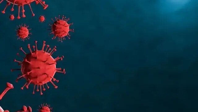 Kırgızistan’da alarm, hızla yayılan virüs eğitimi felç etti