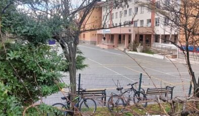 Lisede mide bulandıran olay! Kız öğrencilerine cinsel organının fotoğrafını gönderdi