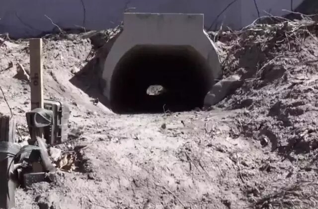 Kurbağaların rahatça çiftleşmesi için yapılan aşk tünelinde inşaat sona erdi