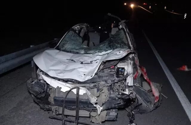 Malatya’da feci olay: Milyonluk taylar karayolunda telef oldu