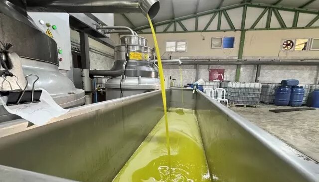 Muhtar fabrika kurup tüm mahalleyi işe aldı! Suudi Arabistan’a bile ihraç ediyor