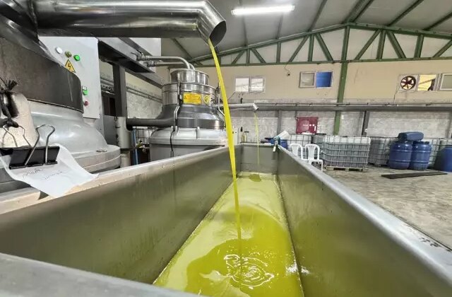 Muhtar fabrika kurup tüm mahalleyi işe aldı! Suudi Arabistan’a bile ihraç ediyor