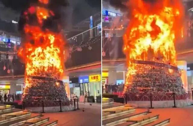 “Müslümanlar Noel ağacını ateşe verdi” dendi, gerçek çok başka çıktı