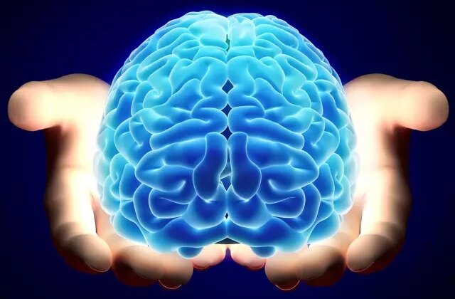 Nörologlar beyin için en zararlı 6 gıdayı açıkladı