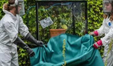 Özel güvenlik kafesinde tutuluyor, bir dokunanı acısıyla intihara sürüklüyor