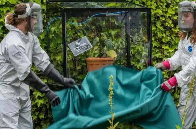 Özel güvenlik kafesinde tutuluyor, bir dokunanı acısıyla intihara sürüklüyor