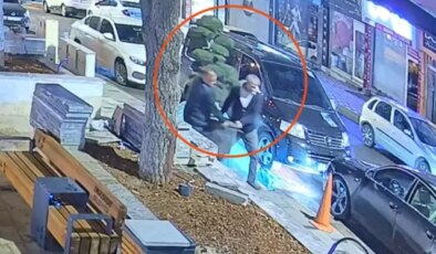 Parktaki ağacı otomobile yükleyip götürdüler