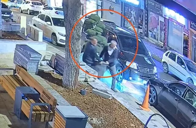 Parktaki ağacı otomobile yükleyip götürdüler