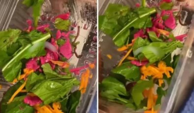 Pidecideki salatadan çıkan yok artık dedirtti