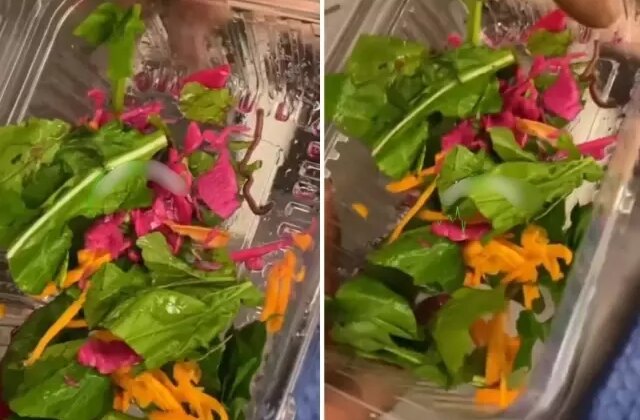 Pidecideki salatadan çıkan yok artık dedirtti