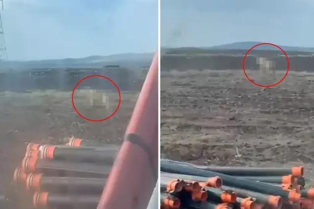 sivas ta tarlasini suren ciftciyi urkuten goruntu 19339315 400 o