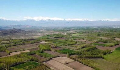 TOKİ, İstanbul dahil 37 ilde yüzlerce arsayı satışa çıkardı