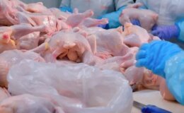 Türkiye’nin dev tavuk markası konkordato ilan etti