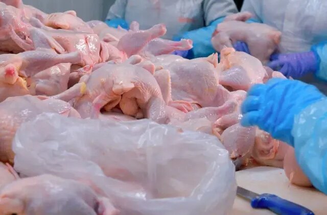 Türkiye’nin dev tavuk markası konkordato ilan etti