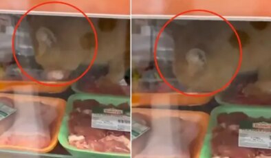 Zincir markette mide bulandıran skandal! Gören hemen kayda girdi