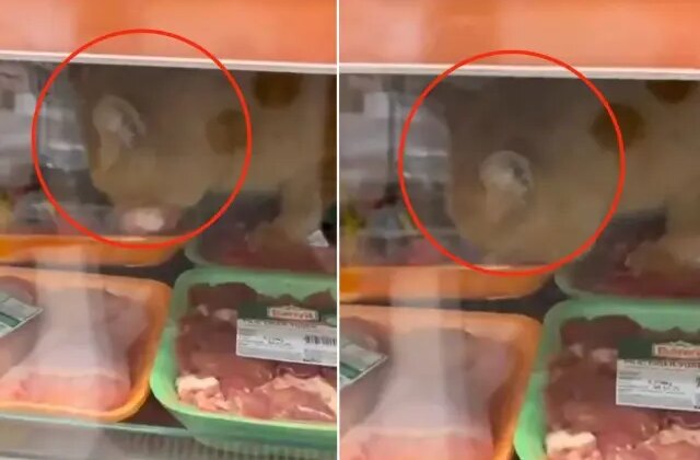 Zincir markette mide bulandıran skandal! Gören hemen kayda girdi