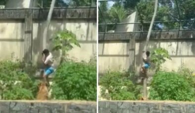 Tutkusu sonu oldu! 6 metrelik duvarı aşıp aslan kafesine girdi, sonrası facia