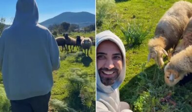 Ünlü şarkıcı Tan koyunları besledi, vegan olun mesajı verdi