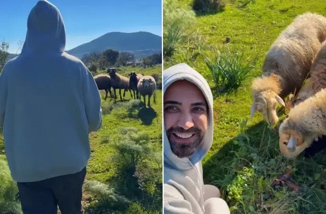 Ünlü şarkıcı Tan koyunları besledi, vegan olun mesajı verdi