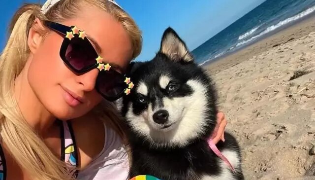 Ünlüler arasında evcil hayvan klonlama trendi yayılıyor