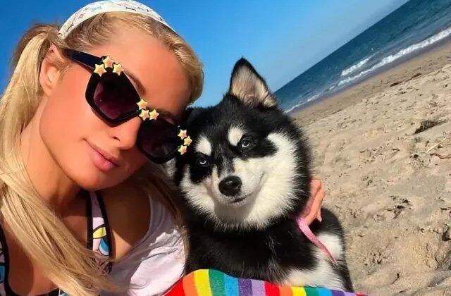 Ünlüler arasında evcil hayvan klonlama trendi yayılıyor