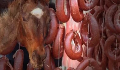 Vatandaşa at eti yedirmişler! Bakanlık, markayı da üretildiği ili de ifşa etti