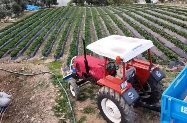 Yaz meyvesinde kış hasadı başladı! Kilosu 130 TL’den satılıyor