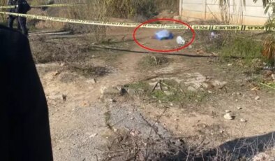 Yol kenarında kadın cesedi bulundu