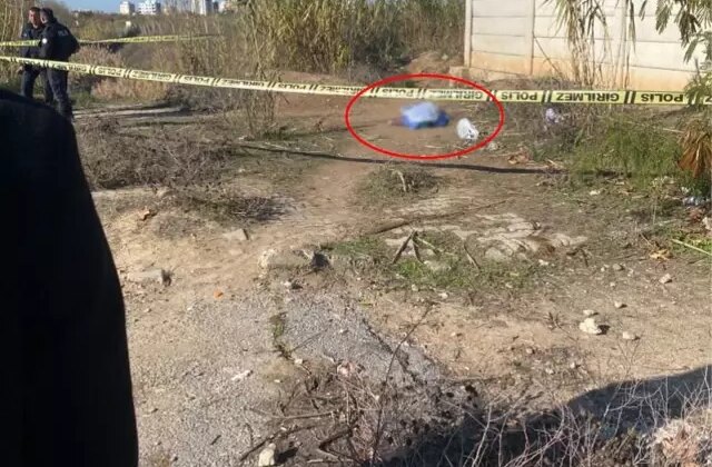 Yol kenarında kadın cesedi bulundu