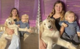 Yunanistan’da pitbull dehşeti: 2 yaşındaki çocuk hayatını kaybetti