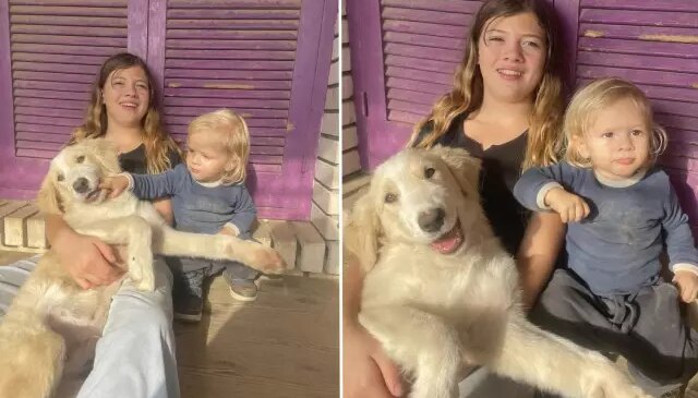 Yunanistan’da pitbull dehşeti: 2 yaşındaki çocuk hayatını kaybetti