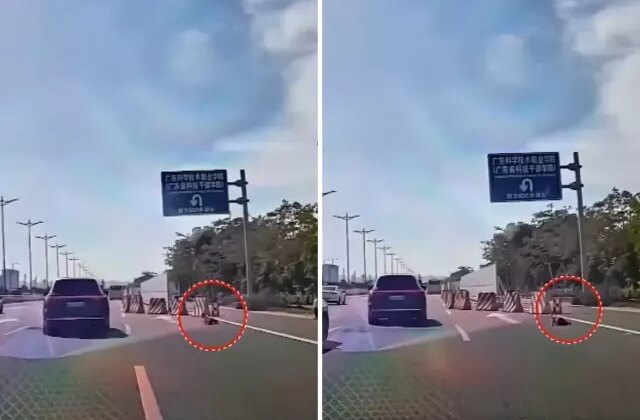 Yüreklerin ağızlara geldiği an! Küçük çocuk emekleyerek otobana çıktı