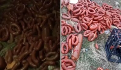 Yüzlerce kilo et ürünü boş araziye atıldı