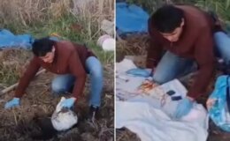 3 dakikada servet çaldılar! 4 farklı yerde toprağa gömülü halde bulundu