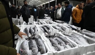 40 yıl sonra Marmara’ya döndü! Fiyatı 3 bin 500 TL