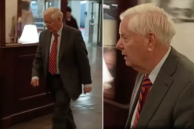 abd li senatoru zora sokan soru neden escinsel 19517779 6736 o